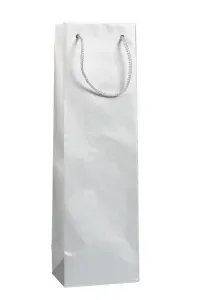 GLASS SILVER - 12*9*40